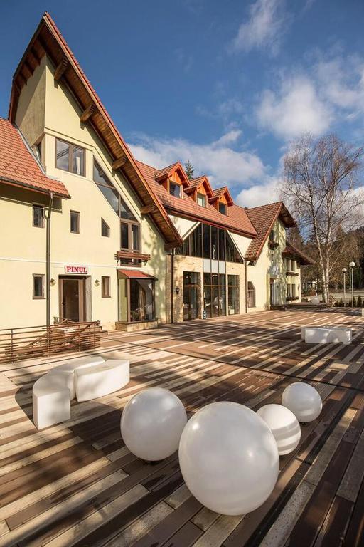 Vila Pinul Si Mesteacanul Hotel Poiana Brasov Buitenkant foto